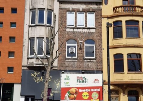 Aangenaam vernieuwd appartement nabij Gent Sint Pieters